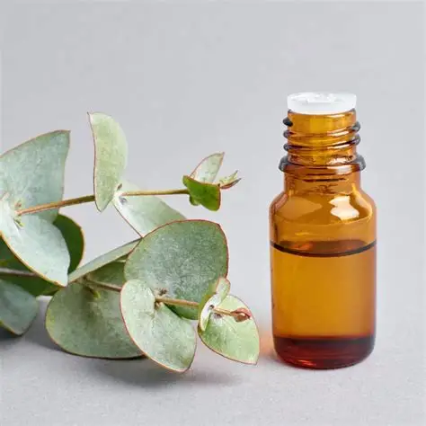Eucalyptus Essential Oil