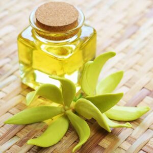 Ylang Ylang Essential Oil